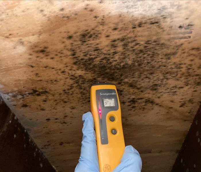 Checking for moisture on plywood with a moisture meter.