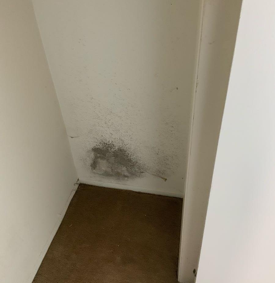Mold on a wall in closet