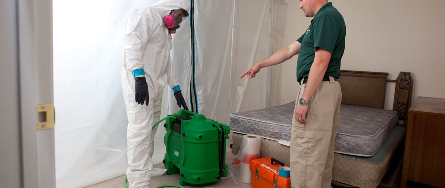 Carson, CA mold removal process